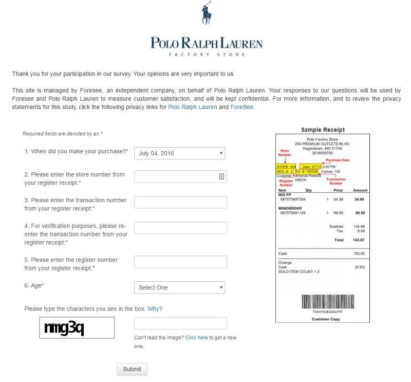 print screen of the polo factory survey