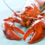 devon seafood lobster logo