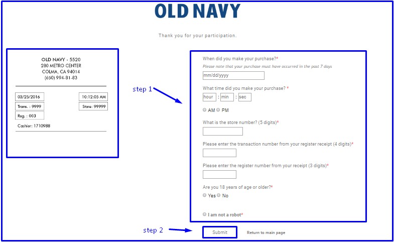 old navy survey